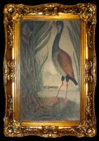 framed  Henri Rousseau Wader, ta009-2